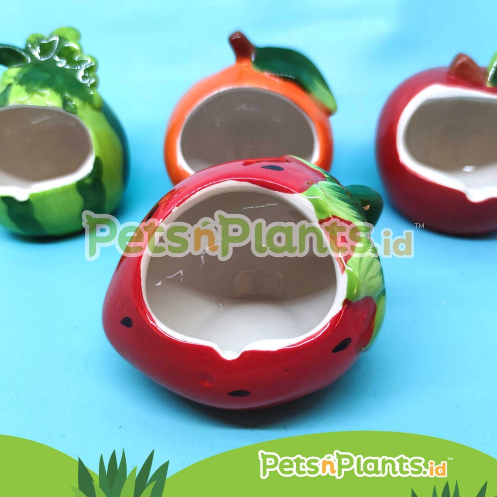 Tempat Tidur / Rumah / Aksesoris Mainan Kandang Hamster Keramik Import