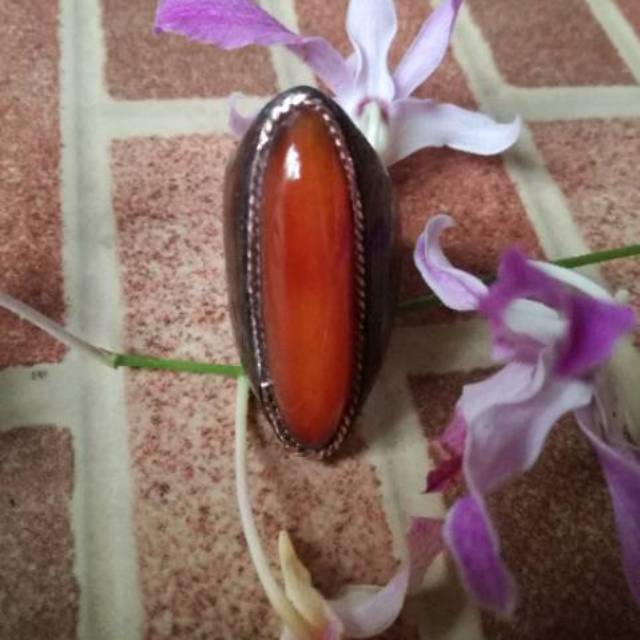 Batu akik pandan merah sisik betik emban kayu istimewa