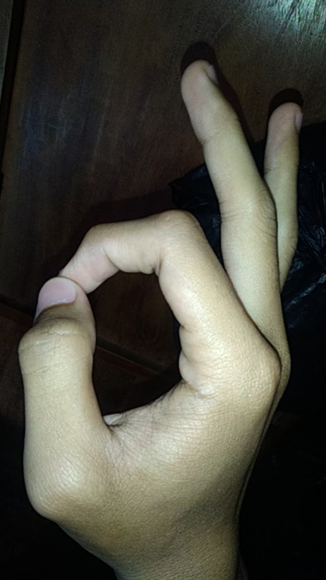 Insektisida Regent 50sc Sistemik Kemasan 50,100&250ml