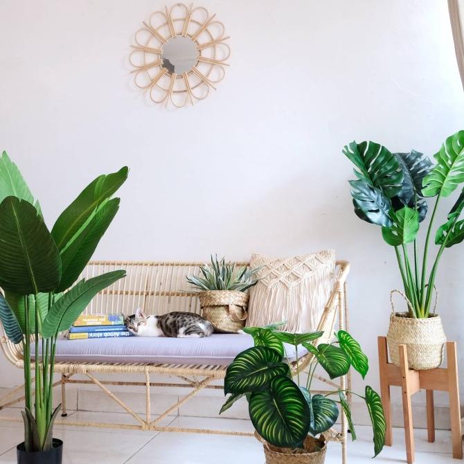 Tanaman Palsu Monstera / Pohon Plastik Latex