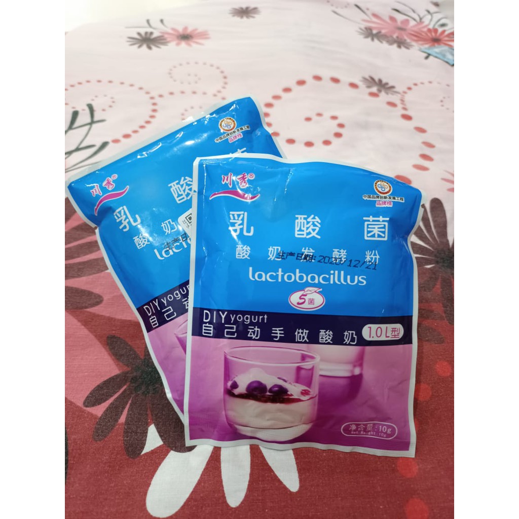 BIBIT YOGURT / BIANG YOGURT / 5 PROBIOTIC Lactobacillus Fermentation