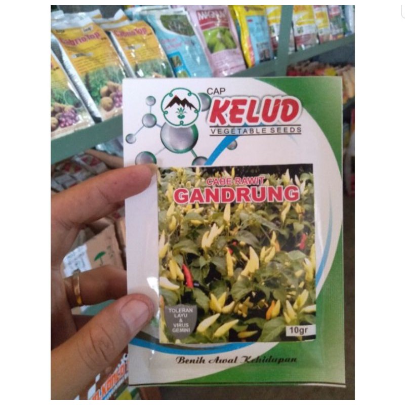 benih cabe rawit GANDRUNG Cap kelud