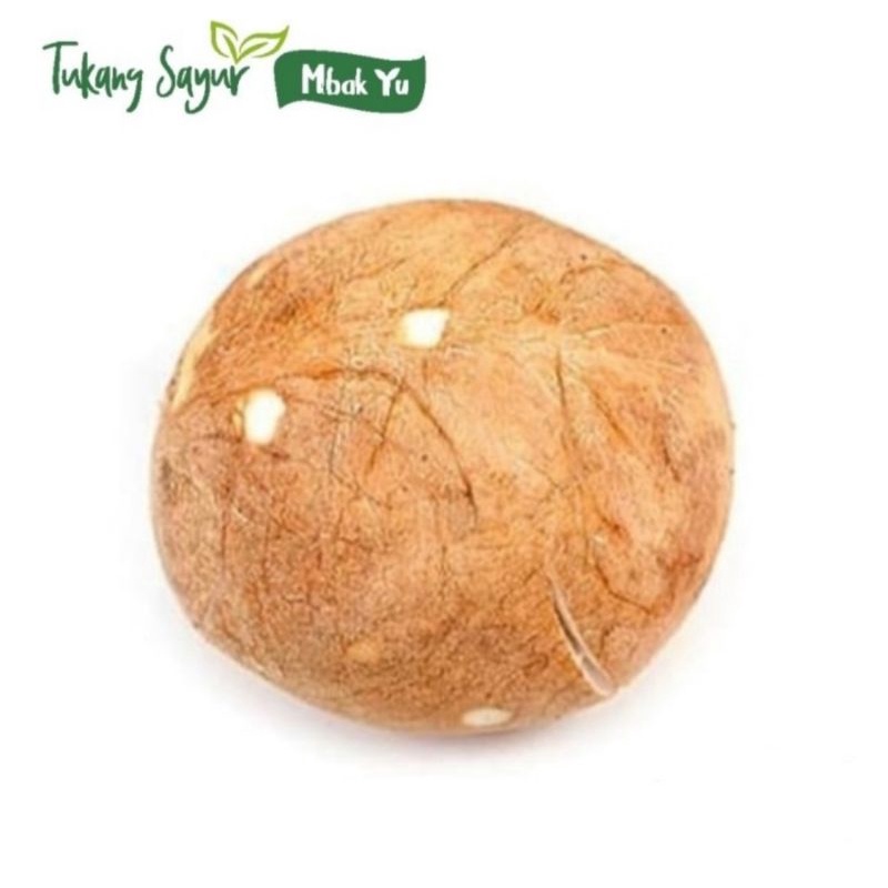 

Kelapa utuh bulat