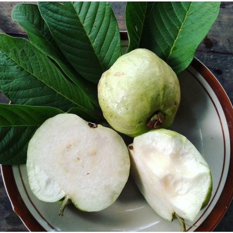 

buah jambu kristal lokal [1kg]