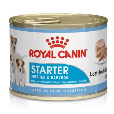 royal canin dog starter mousse mother baby dog kaleng can 195gr