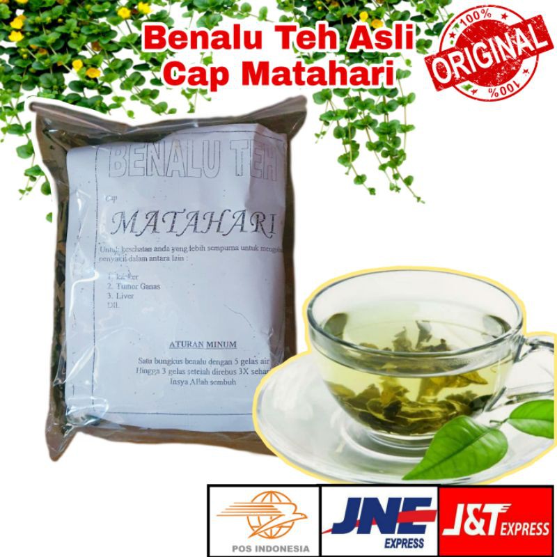 

Benalu Teh/Daun Teh Benalu