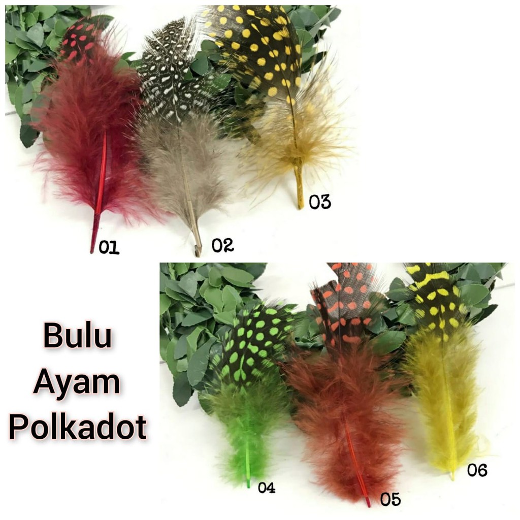 1 BUAH - BULU AYAM | BULU ANGSA| BULU M | BULU TUING | BULU BIYOT