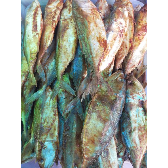 

IKAN ASIN PEDA (±250g) IKAN ASIN KEMBUNG PONTIANAK / IKAN ASIN GEMBUNG / Ikan Asin Pedak / Asin Kambong / Kembung Pou