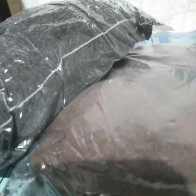 Media Tanam Cocopeat