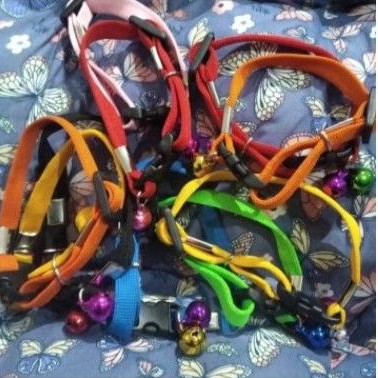 kalung kucing 2 lonceng warna warni murah kalung kucing krincing 2