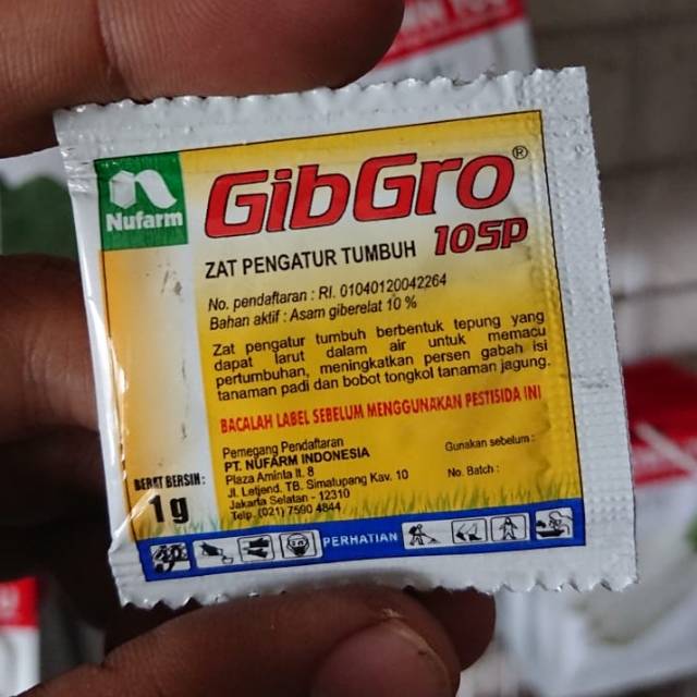 Zat Pengatur Tumbuh GIBGRO