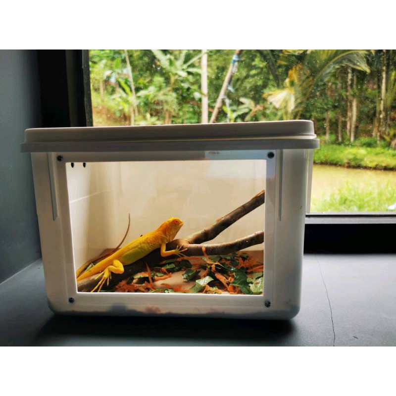 Box reptil, gecko dengan lampu led usb