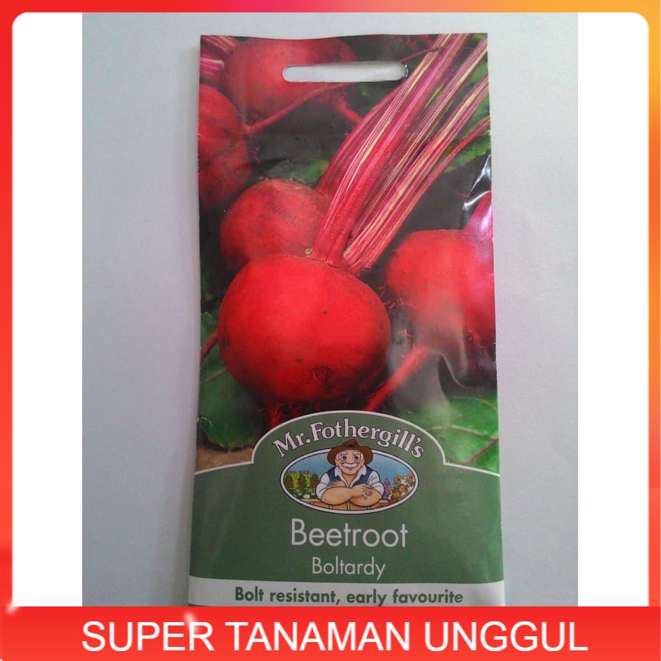 Benih / Biji Buah(Umbi) Bit BEETROOT BOLTARDY, Mr.Fothergills ASLI
