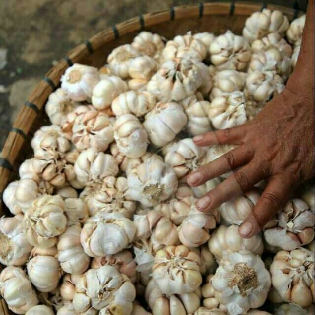 

TERMURAH!!! Bawang Putih 1KG