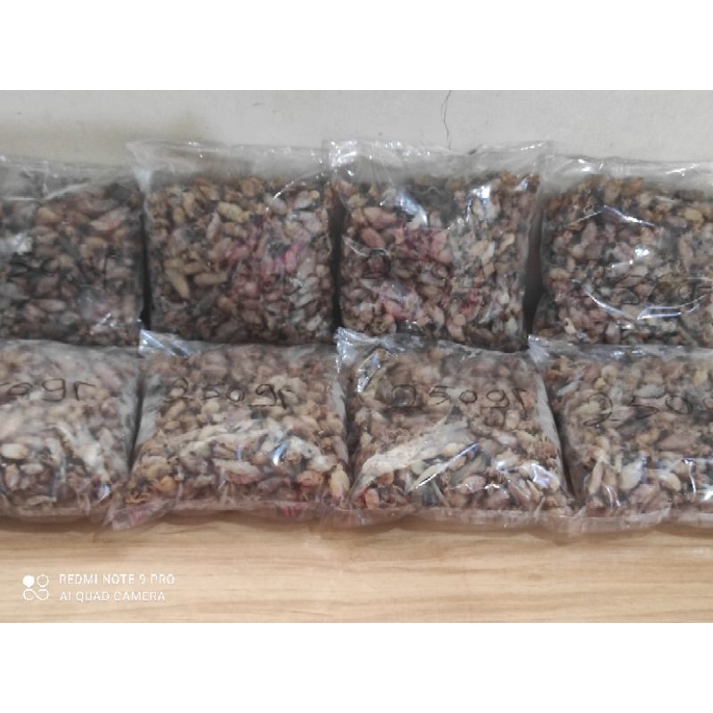 

baby cumi asin. ukuran 1cm.