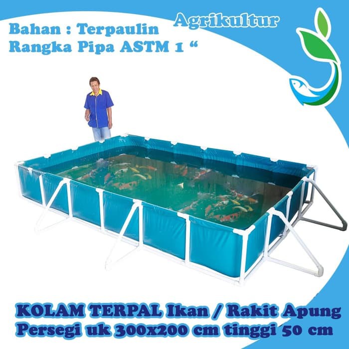 Jirifarm Kolam Terpal Knock Down Persegi 300x200x50cm pengganti kolam fiber