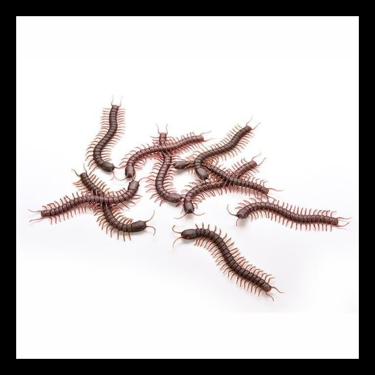 READY STOK KELABANG PALSU PRANK KELABANG COKLAT KELABANG MAINAN KELABANG PRANK M MAINAN MURAH AL6