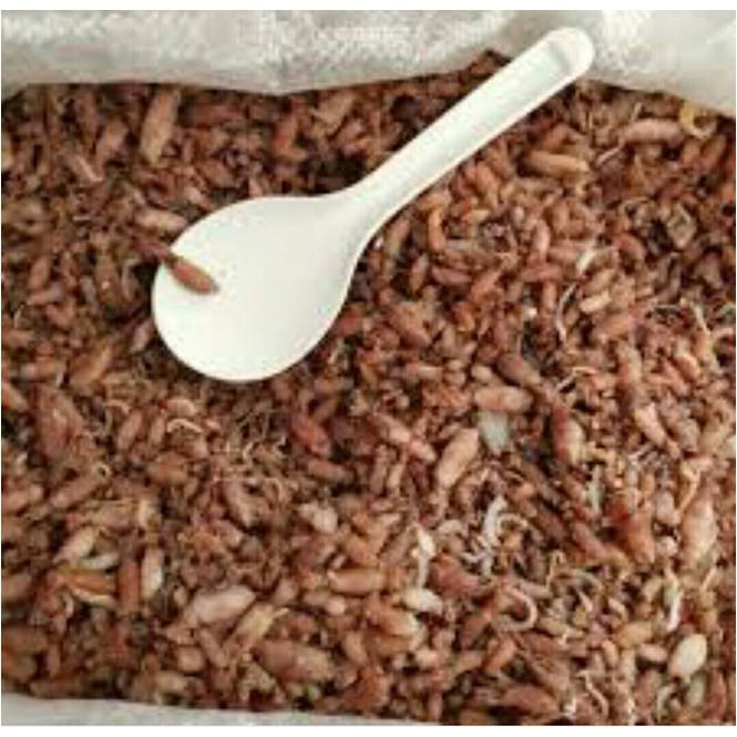 

Cumi / Sotong Asin Uk. 1 - 3 Cm ( @ 1.000 Gr )