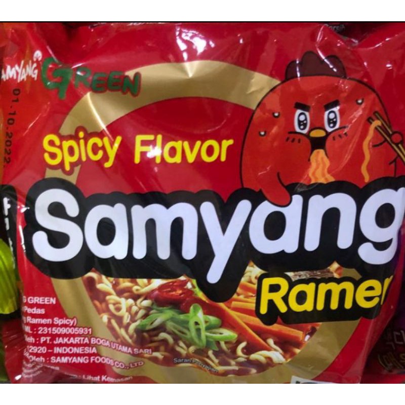 

Samyang Ramen spicy Flavour 120g