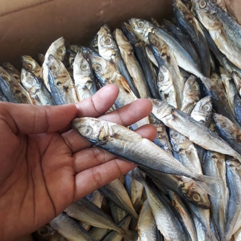

ikan asin ikan peda kemasan 1kg seafood murah