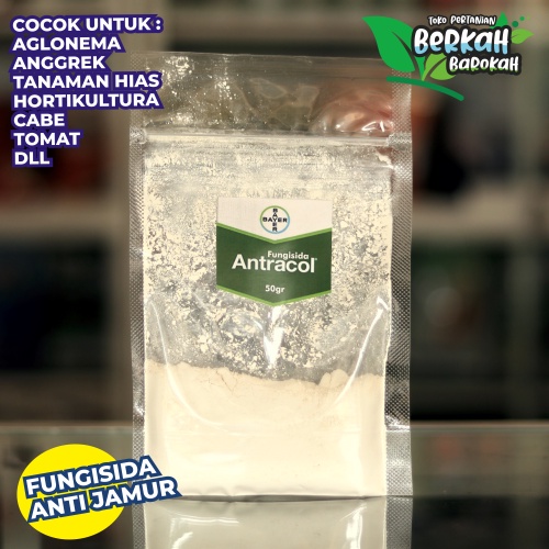 Antracol Fungisida Tanaman Hias, Anggrek, Aglonema, Scandipsus 50gr