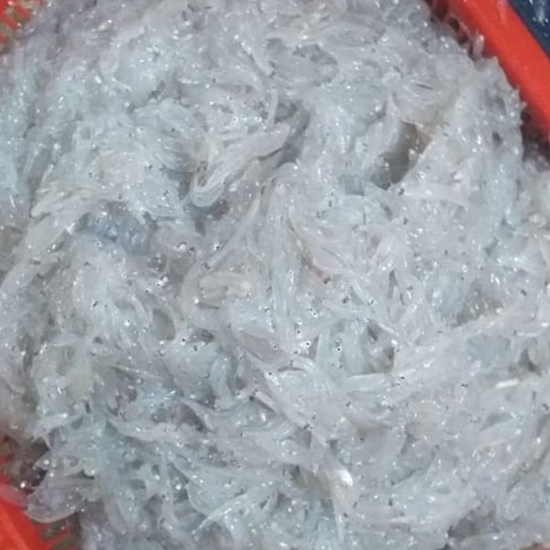 ikan teri nasi basah segar/ teri medan