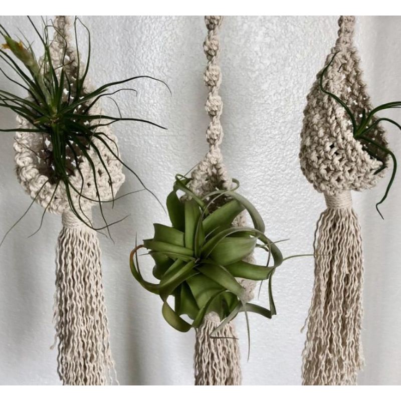 READY STOK) macrame pot gantung sarangan/ macrame plant hanger (POT 024)