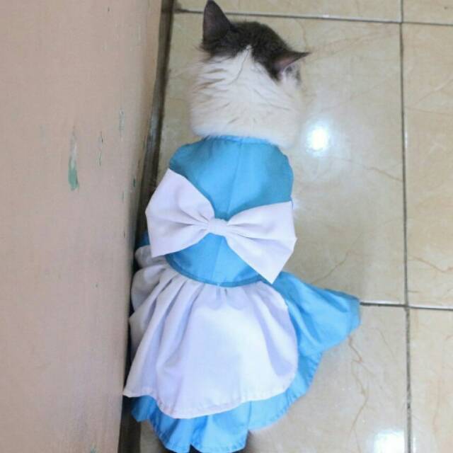 Dress cinderela classic untuk kucing &amp; anjing /Jual Baju Kucing Terlengkap &amp; Berkualitas size S-XL