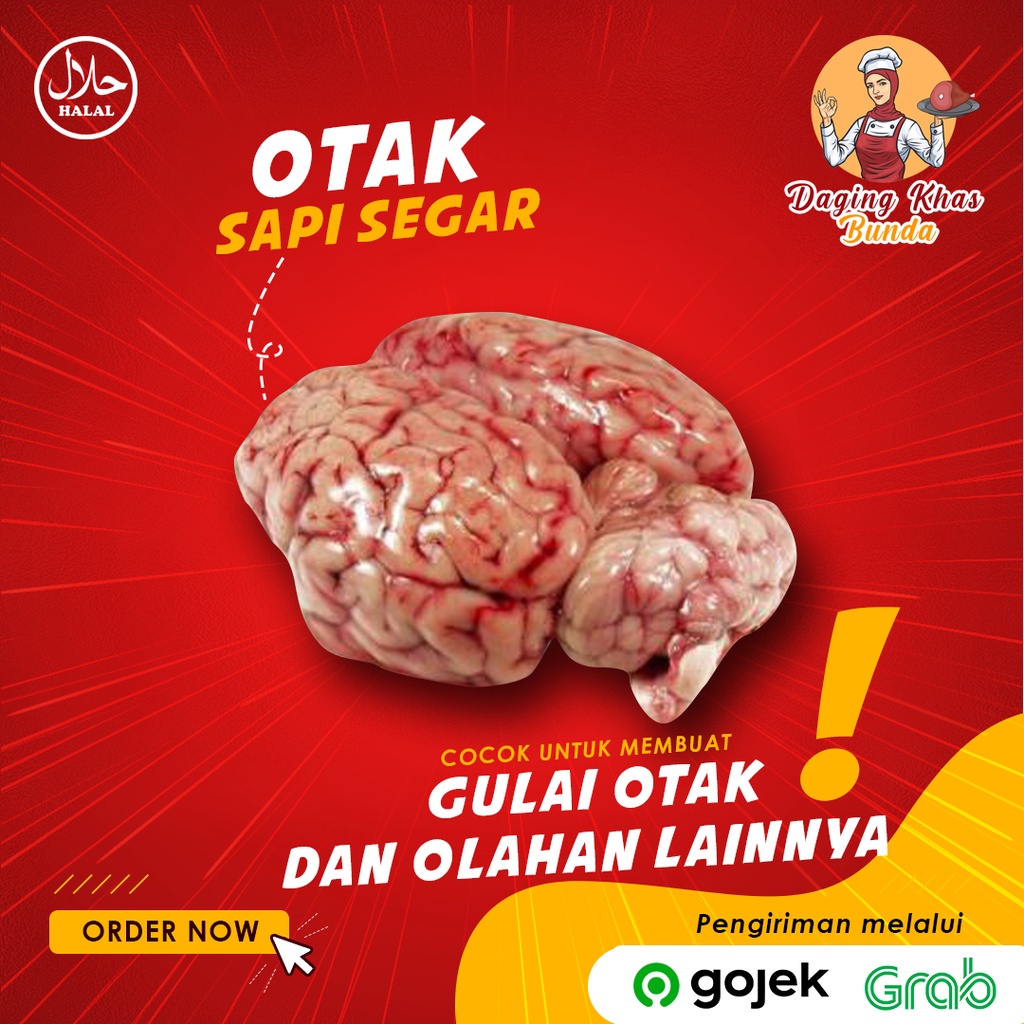 

(PREMIUM) Otak Sapi Lokal Segar FRESH BERSIH (MPASI, Otak Goreng Telur, Gulai)