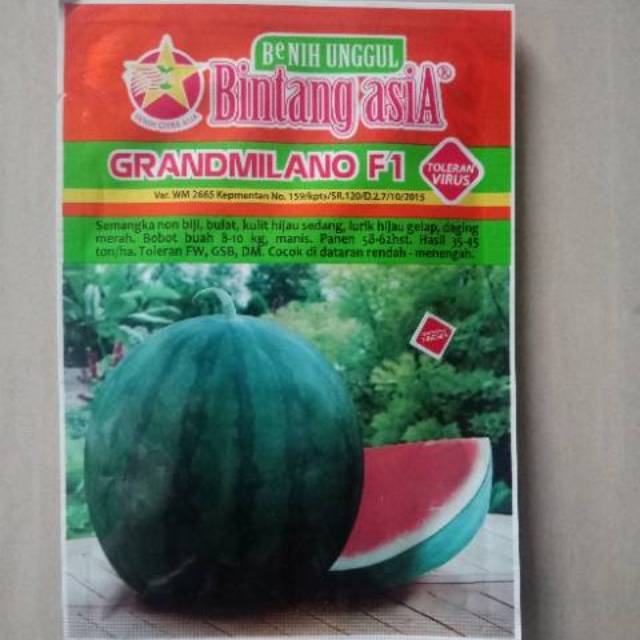 20 gr Benih Semangka Merah Tanpa Biji GRANDMILANO F1 Bibit Buah Bintang Asia