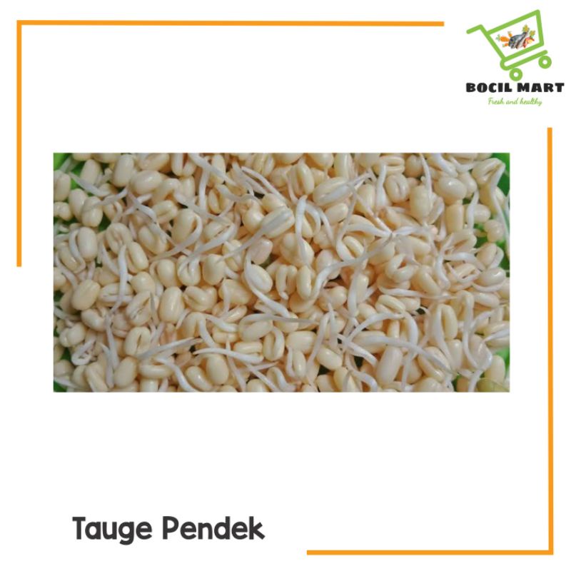 

[BOCIL MART] TAUGE PENDEK / CAMBAH RAWON / TAUGE RAWON 250 GRAM