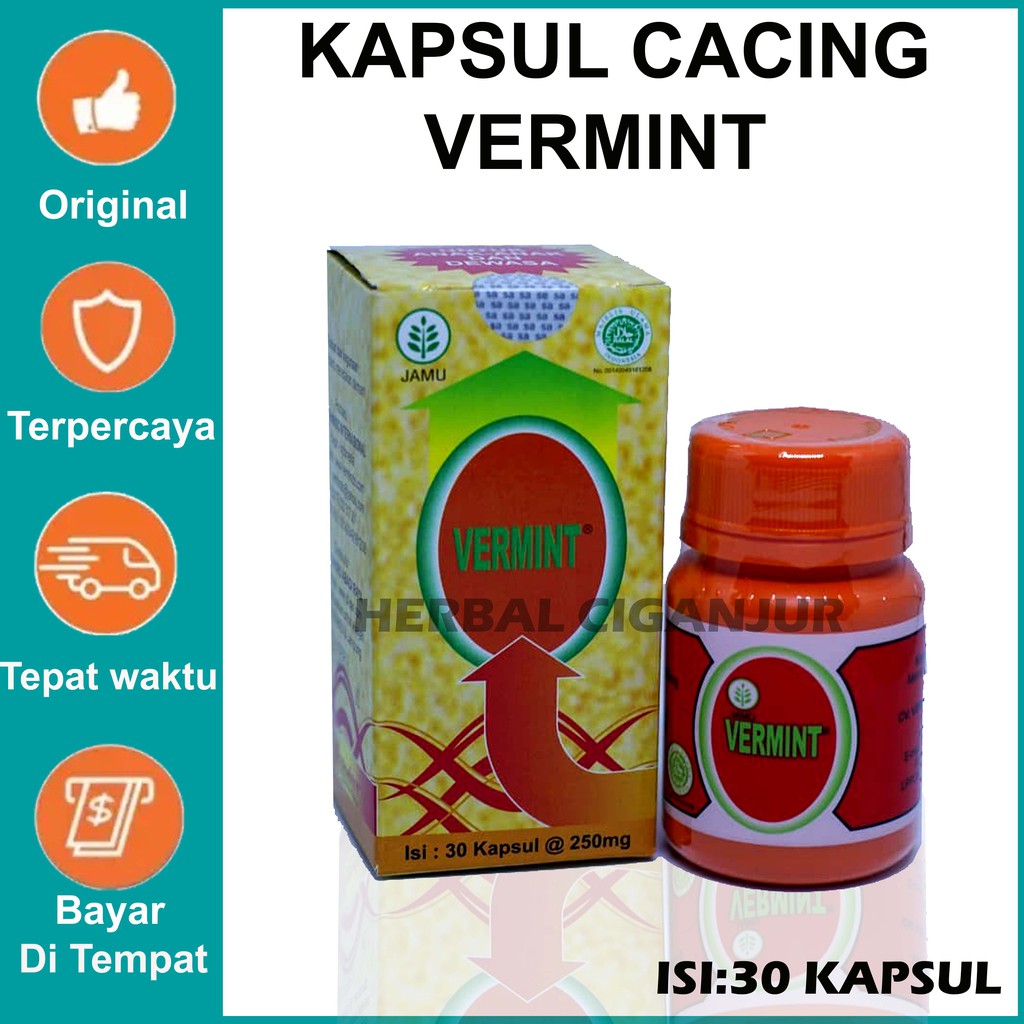 VERMINT Ekstrak cancing  obat tipes isi12 kapsul POM TR