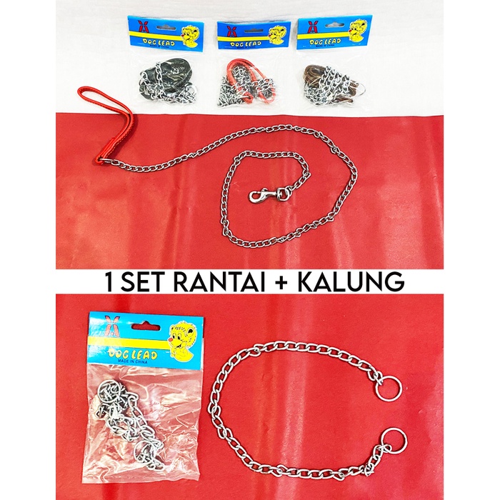 Tali Tuntun Rantai Anjing + Kalung Besi / Dog Stainless Chain + Collar 2,5mm