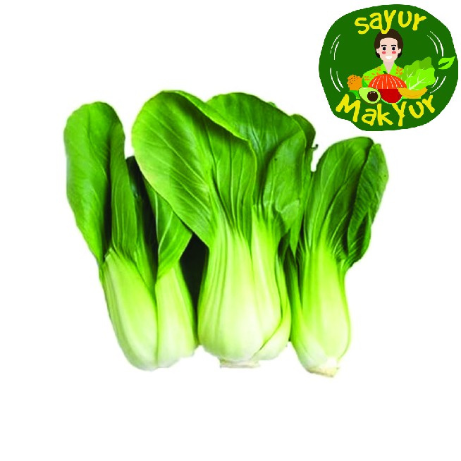 

Pakcoy 250 gram | Sayur Mak Yur Medan | sayurmakyur