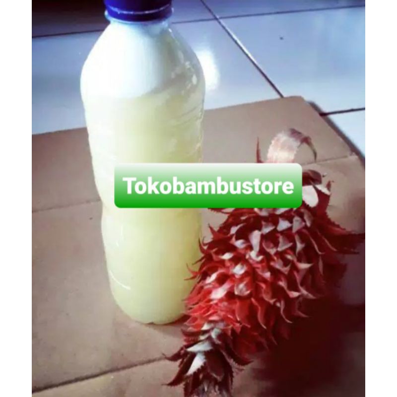 Jus nanas merah jus buah nanas merah kemasan 350 ml