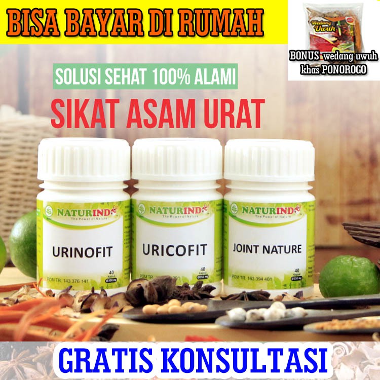 OBAT ASAM URAT AMPUH OBAT HERBAL ASAM URAT JAMU ASAM URAT PAKET PERESEPAN ASAM URAT NATURINDO