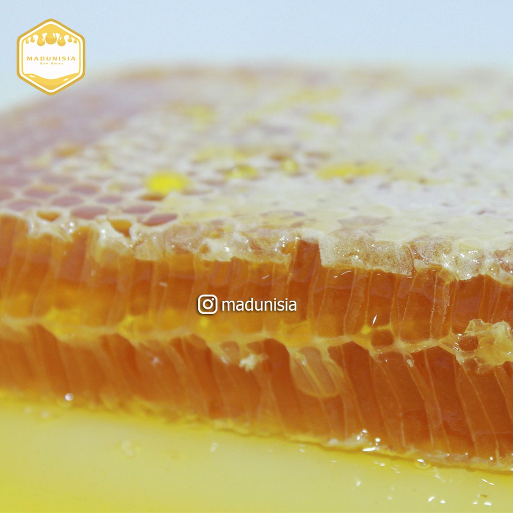 

SARANG MADU MELIFERA 500gr premium quality