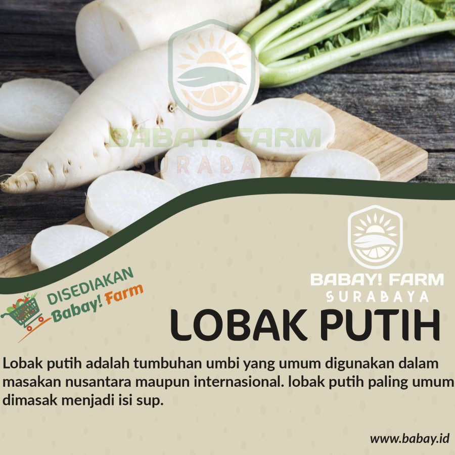 

Lobak Putih Daikon 500 gr / 1 kg