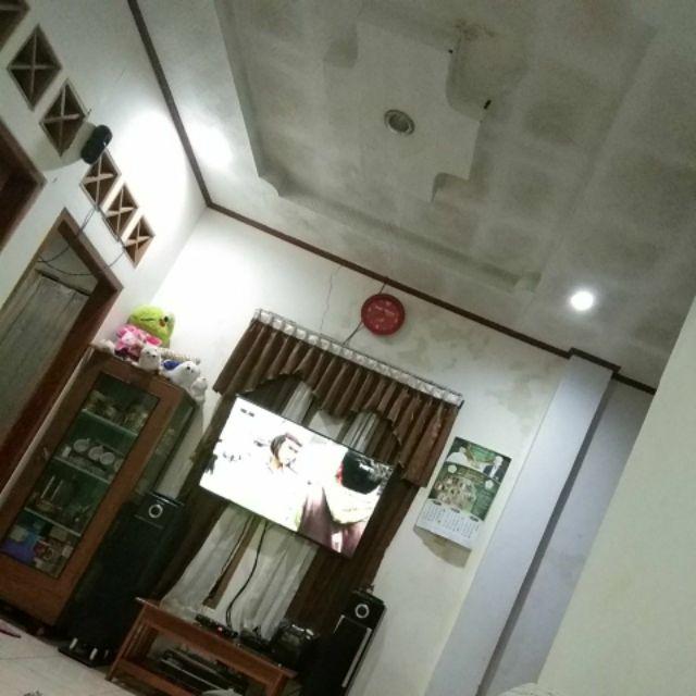 Tyrano Redfox - Cod Only