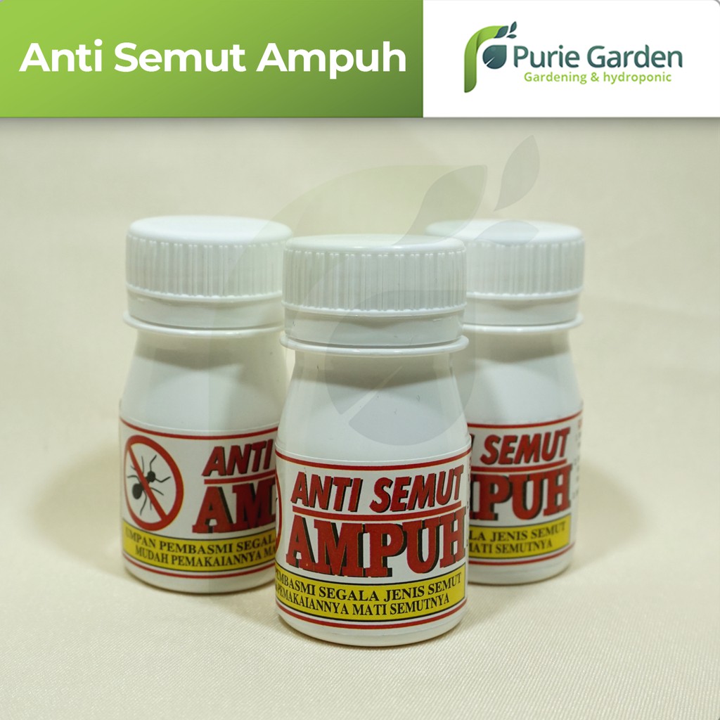 Racun/Obat Pembasmi Anti Semut Ampuh PG SBY