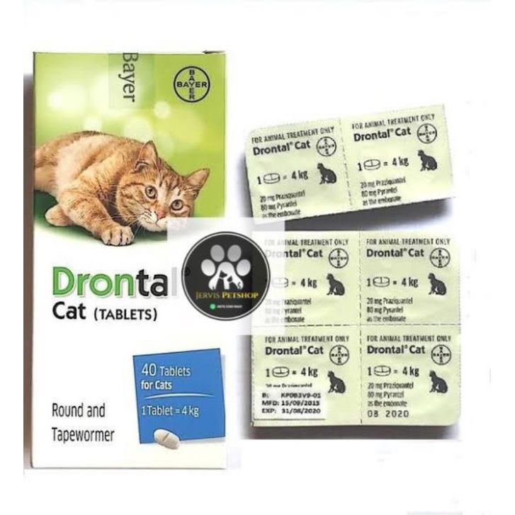 Obat cacing untuk  kucing Drontal