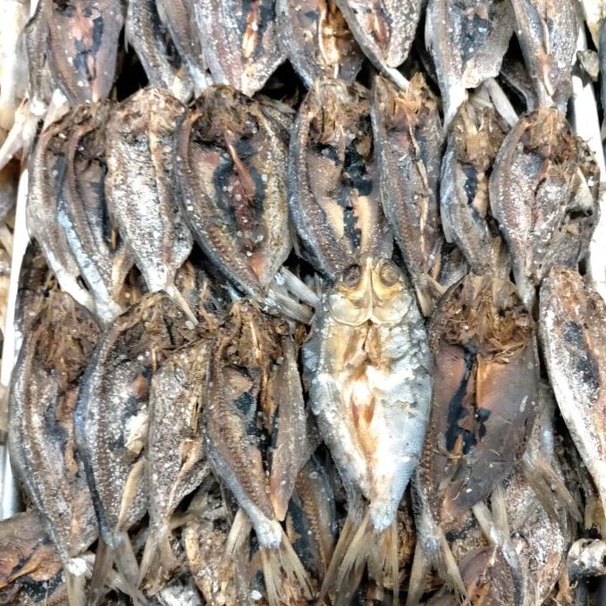 

TREND IKAN ASIN BANDENG 1KG STOK TERBATAS