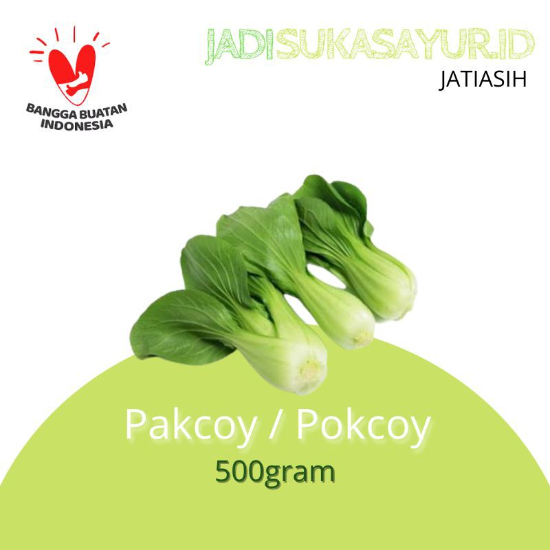 

PAKCOY / POKCOY SEGAR 500gram - SAYURAN SEGAR BEKASI