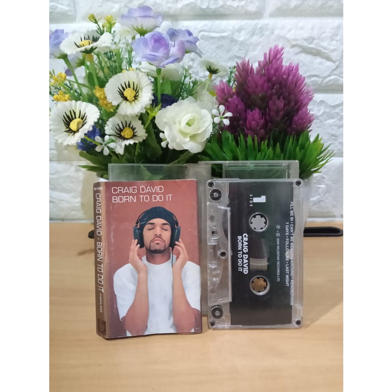 Kaset CRAIG DAVID - Born To do it