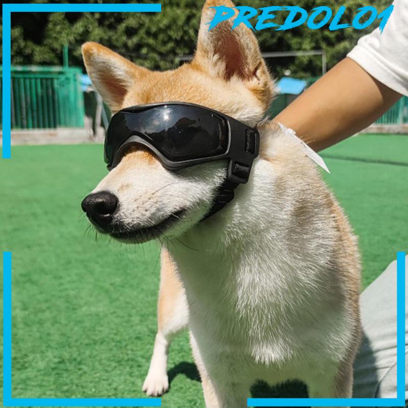 (Predolo1) Kacamata Anjing Peliharaan Ukuran Kecil / Medium Untuk Properti Foto / Cosplay