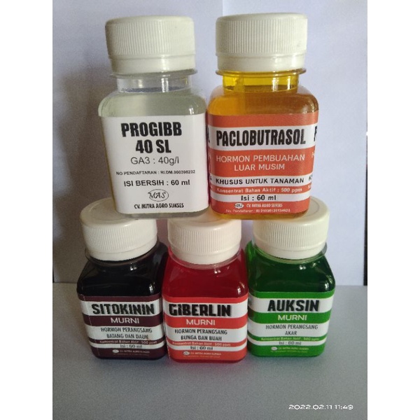 paket lengkap HORMON PERANGSANG ZPT GIBERELIN AUKSIN SITOKININ PROGIBB zpt PALCOBUTRASOL Zpt