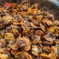 

Kerang bulu Kupas Segar daging kerang 1kg