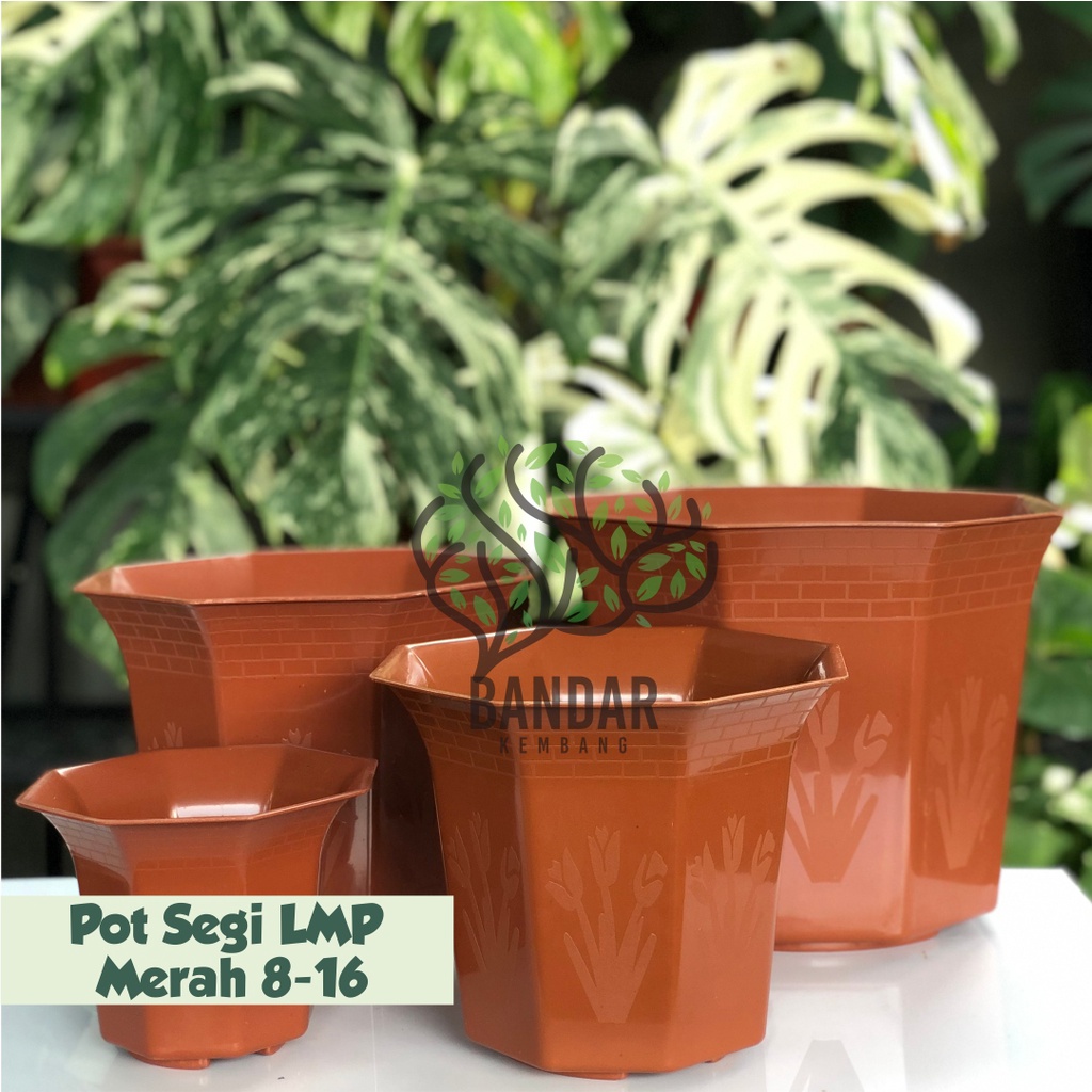 Pot Segi LMP 8-16 Tanaman Bunga Hias Pot Plastik Tebal Besar dan Kecil Murah Dekorasi Taman Rumah Minimalis - Pot Unik Cantik