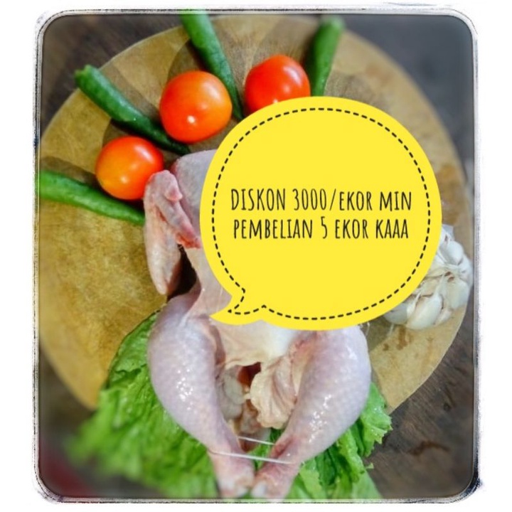 Jual Ayam Utuh 1 Karkas Potong Uk9 900 Gram Ayam Karkas Ayam Broiler