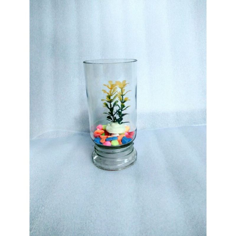Soliter cupang bentuk tabung / toples nescafe / toples cupang / akuarium mini tempat ikan hias